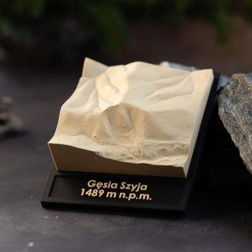 gesia-szyja-szczegolowy-model-topograficzny.jpg