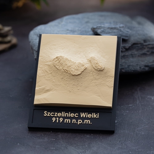 szczeliniec-wielki-ozdoba-biura.jpg